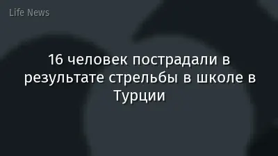 16 человек пострадали в результате стрельбы в школе в Турции