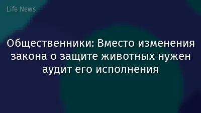 Общественники: Вместо изменения закона о защите животных нужен аудит его исполнения