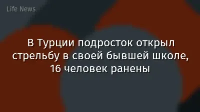 В Турции подросток открыл стрельбу в своей бывшей школе, 16 человек ранены