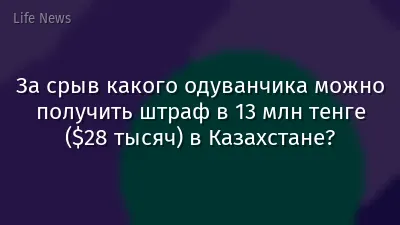 За срыв какого одуванчика можно получить штраф в 13 млн тенге ($28 тысяч) в Казахстане?