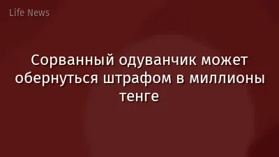 Сорванный одуванчик может обернуться штрафом в миллионы тенге