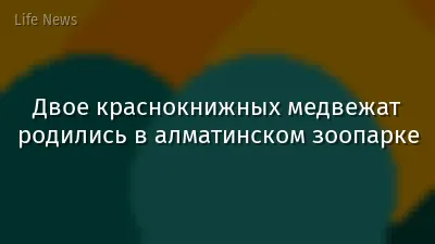 Двое краснокнижных медвежат родились в алматинском зоопарке