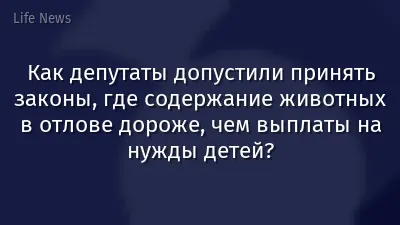 Как депутаты допустили принять законы, где содержание животных в отлове дороже, чем выплаты на нужды детей?
