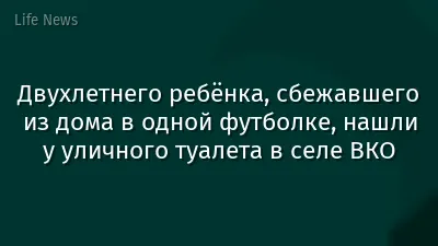 Двухлетнего ребёнка, сбежавшего из дома в одной футболке, нашли у уличного туалета в селе ВКО
