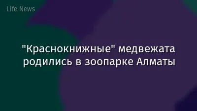 "Краснокнижные" медвежата родились в зоопарке Алматы