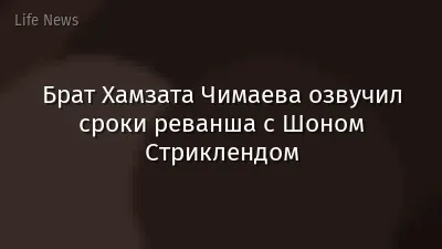 Брат Хамзата Чимаева озвучил сроки реванша с Шоном Стриклендом