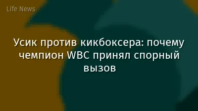 Усик против кикбоксера: почему чемпион WBC принял спорный вызов