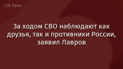 За ходом СВО наблюдают как друзья, так и противники России, заявил Лавров