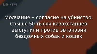 Молчание – согласие на убийство. Свыше 50 тысяч казахстанцев выступили против эвтаназии бездомных собак и кошек