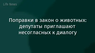 Поправки в закон о животных: депутаты приглашают несогласных к диалогу