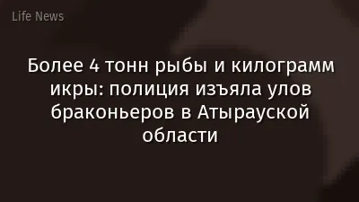 Более 4 тонн рыбы и килограмм икры: полиция изъяла улов браконьеров в Атырауской области