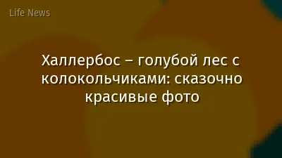 Халлербос – голубой лес с колокольчиками: сказочно красивые фото