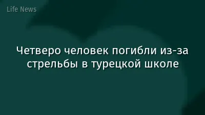 Четверо человек погибли из-за стрельбы в турецкой школе