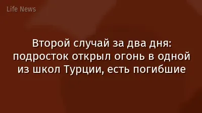 Второй случай за два дня: подросток открыл огонь в одной из школ Турции, есть погибшие