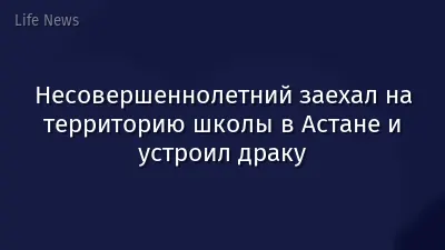 Несовершеннолетний заехал на территорию школы в Астане и устроил драку