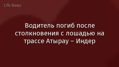 Водитель погиб после столкновения с лошадью на трассе Атырау – Индер