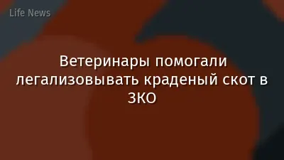 Ветеринары помогали легализовывать краденый скот в ЗКО