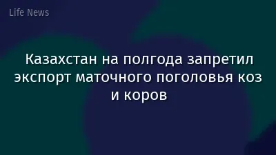 Казахстан на полгода запретил экспорт маточного поголовья коз и коров
