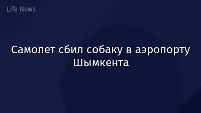 Самолет сбил собаку в аэропорту Шымкента
