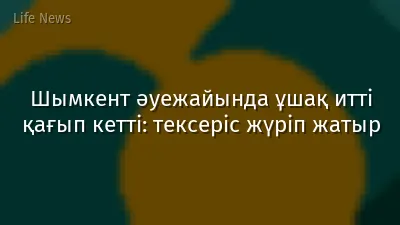 Шымкент әуежайында ұшақ итті қағып кетті: тексеріс жүріп жатыр