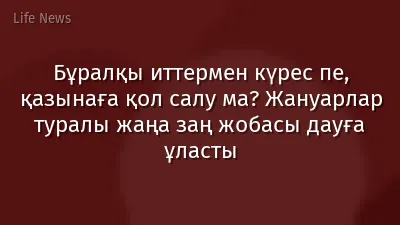 Бұралқы иттермен күрес пе, қазынаға қол салу ма? Жануарлар туралы жаңа заң жобасы дауға ұласты