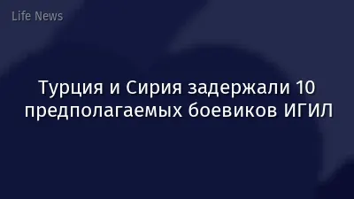 Турция и Сирия задержали 10 предполагаемых боевиков ИГИЛ