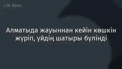 Алматыда жауыннан кейін көшкін жүріп, үйдің шатыры бүлінді