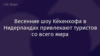 Весенние шоу Кёкенхофа в Нидерландах привлекают туристов со всего мира