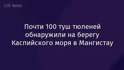 Почти 100 туш тюленей обнаружили на берегу Каспийского моря в Мангистау
