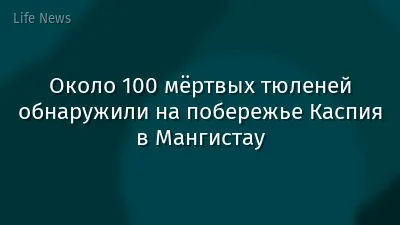 Около 100 мёртвых тюленей обнаружили на побережье Каспия в Мангистау