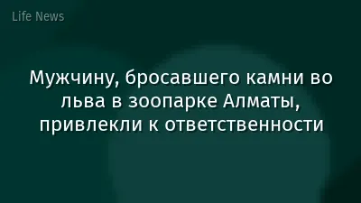 Мужчину, бросавшего камни во льва в зоопарке Алматы, привлекли к ответственности