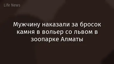 Мужчину наказали за бросок камня в вольер со львом в зоопарке Алматы