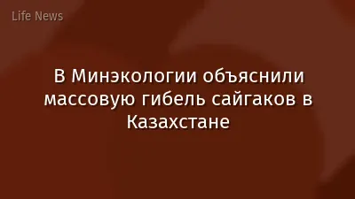 В Минэкологии объяснили массовую гибель сайгаков в Казахстане