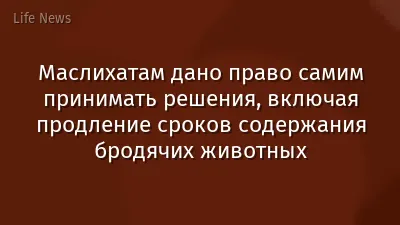 Маслихатам дано право самим принимать решения, включая продление сроков содержания бродячих животных