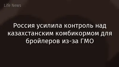 Россия усилила контроль над казахстанским комбикормом для бройлеров из-за ГМО