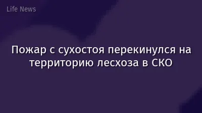 Пожар с сухостоя перекинулся на территорию лесхоза в СКО
