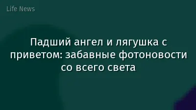 Падший ангел и лягушка с приветом: забавные фотоновости со всего света