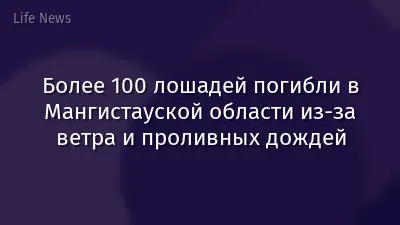 Более 100 лошадей погибли в Мангистауской области из-за ветра и проливных дождей