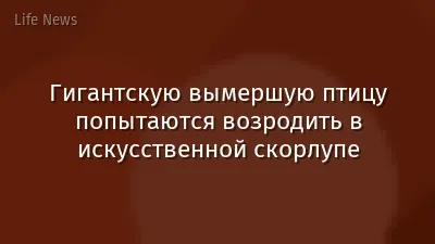 Гигантскую вымершую птицу попытаются возродить в искусственной скорлупе