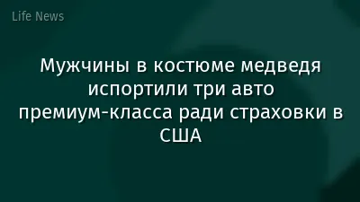 Мужчины в костюме медведя испортили три авто премиум-класса ради страховки в США