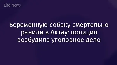 Беременную собаку смертельно ранили в Актау: полиция возбудила уголовное дело