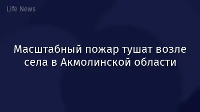 Масштабный пожар тушат возле села в Акмолинской области