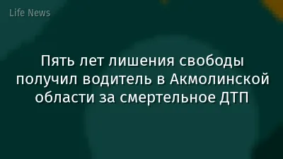 Пять лет лишения свободы получил водитель в Акмолинской области за смертельное ДТП