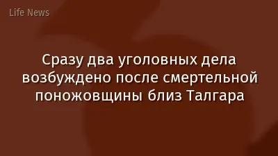 Сразу два уголовных дела возбуждено после смертельной поножовщины близ Талгара