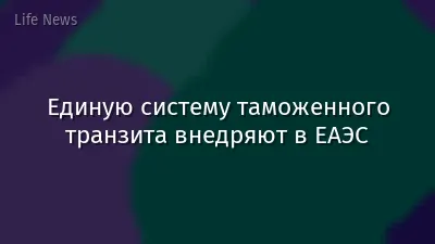 Единую систему таможенного транзита внедряют в ЕАЭС
