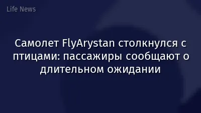 Самолет FlyArystan столкнулся с птицами: пассажиры сообщают о длительном ожидании