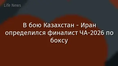 В бою Казахстан - Иран определился финалист ЧА-2026 по боксу