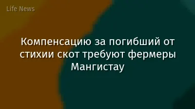 Компенсацию за погибший от стихии скот требуют фермеры Мангистау