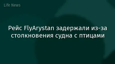 Рейс FlyArystan задержали из-за столкновения судна с птицами