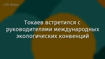 Токаев встретился с руководителями международных экологических конвенций